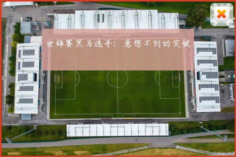 世锦赛黑马选手:意想不到的突破