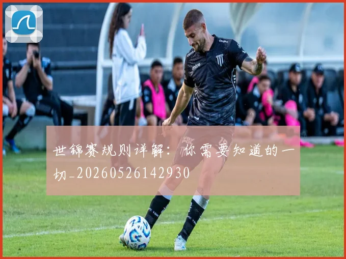 世锦赛规则详解：你需要知道的一切_20260526142930
